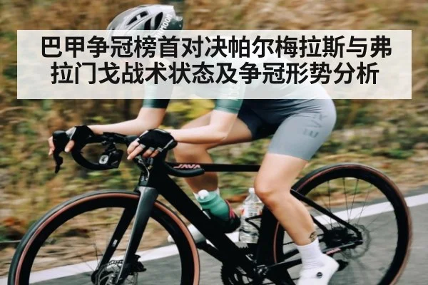 巴甲争冠榜首对决帕尔梅拉斯与弗拉门戈战术状态及争冠形势分析